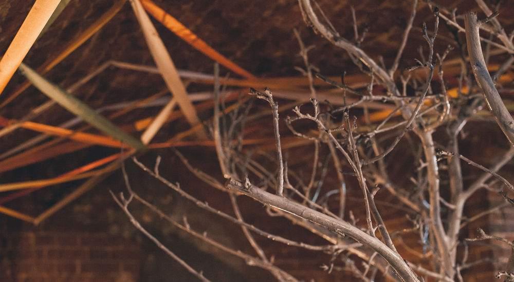 квест Алиса в стране чудес в Казани фото 4